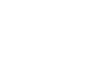 hasswald logo